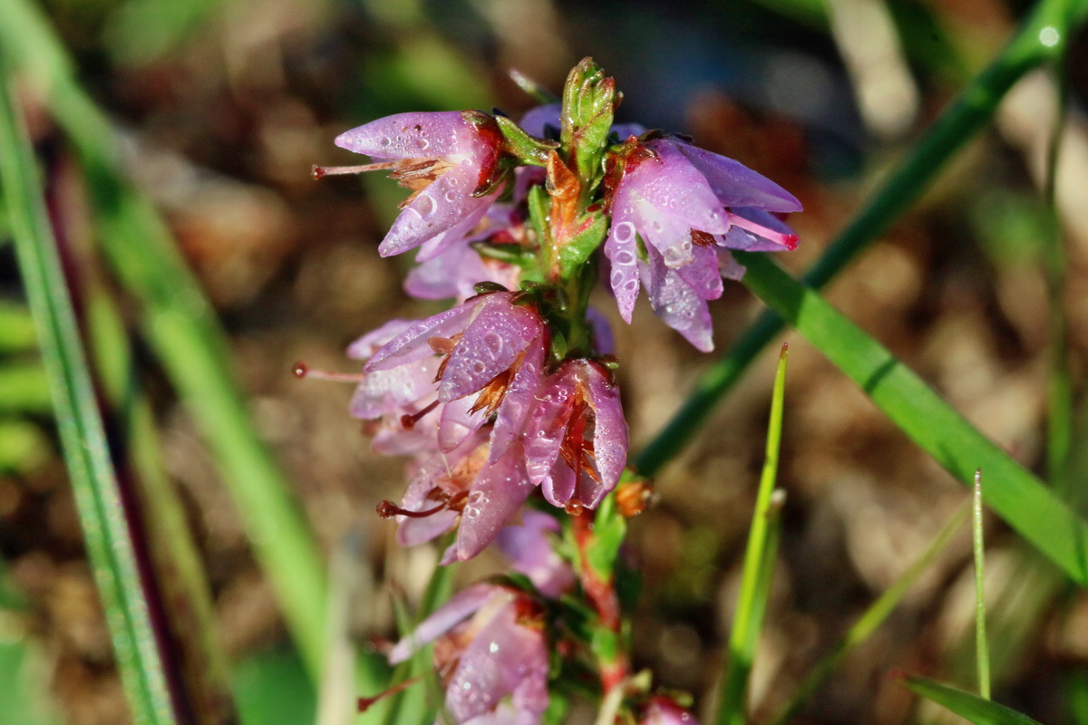 IMG-2015-09-28-00008131p_Bildgr��e �ndern