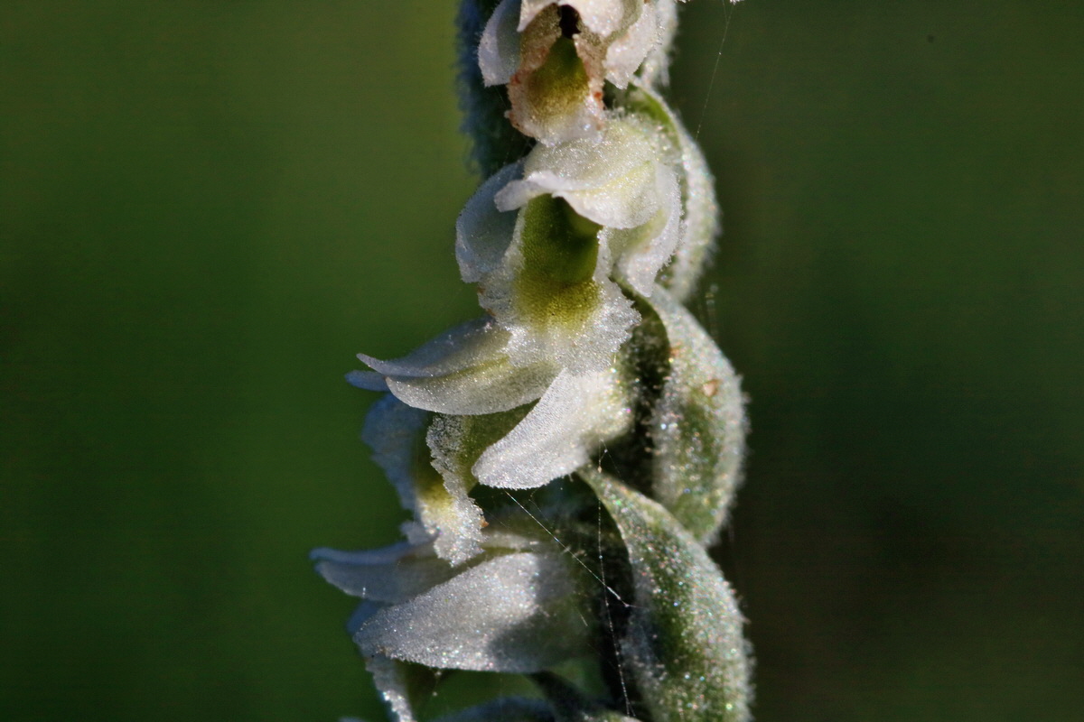 IMG-2015-09-28-00008141p_Bildgr��e �ndern