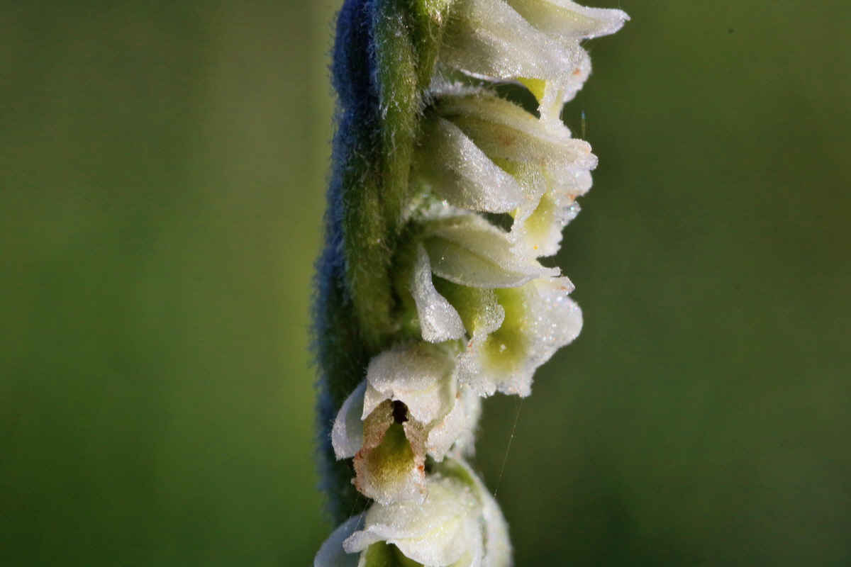 IMG-2015-09-28-00008144p_Bildgr��e �ndern