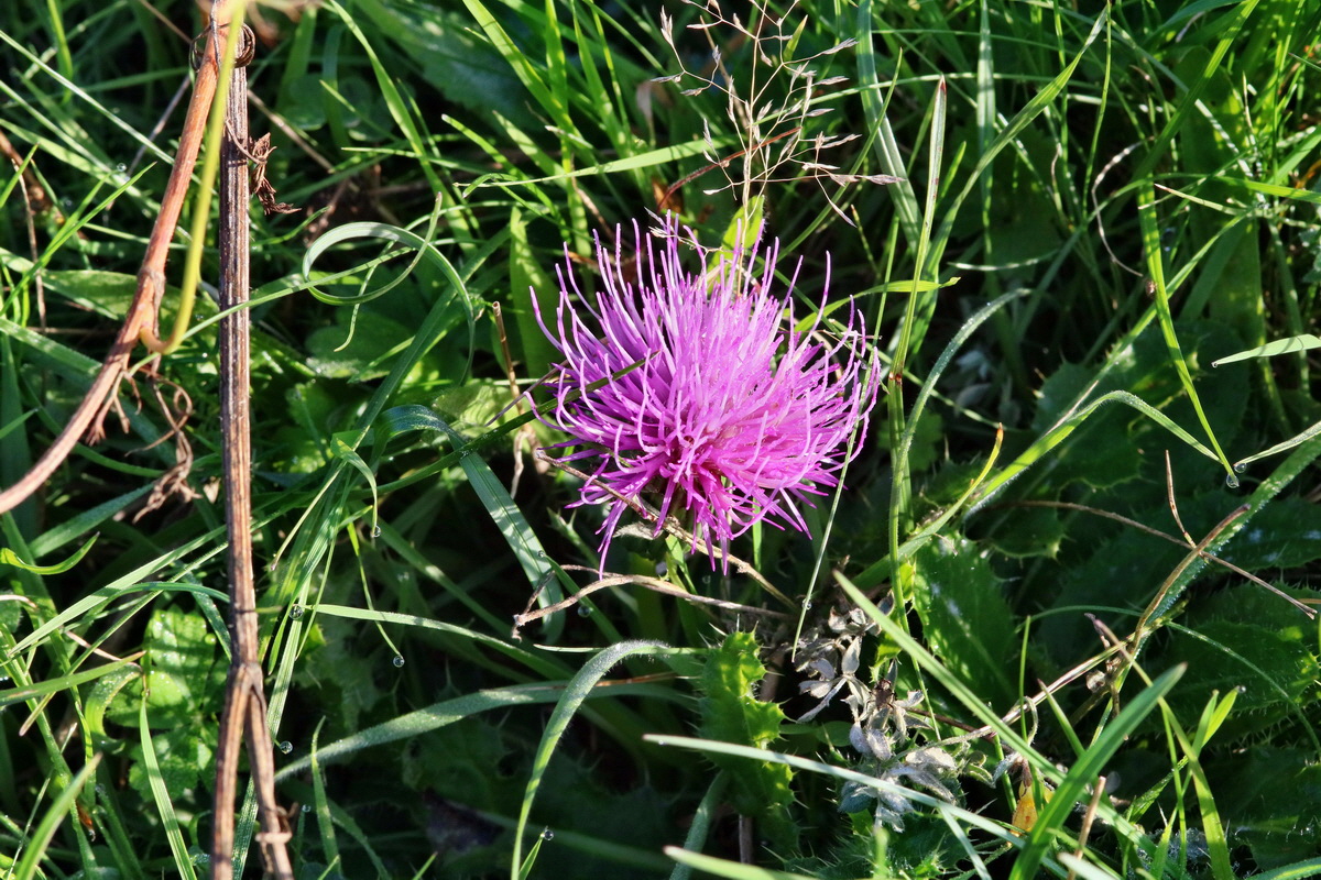 IMG-2015-09-28-00008151p_Bildgr��e �ndern