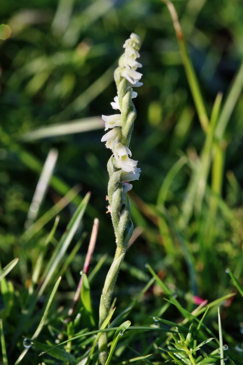 IMG-2015-09-28-00008156p_Bildgr��e �ndern