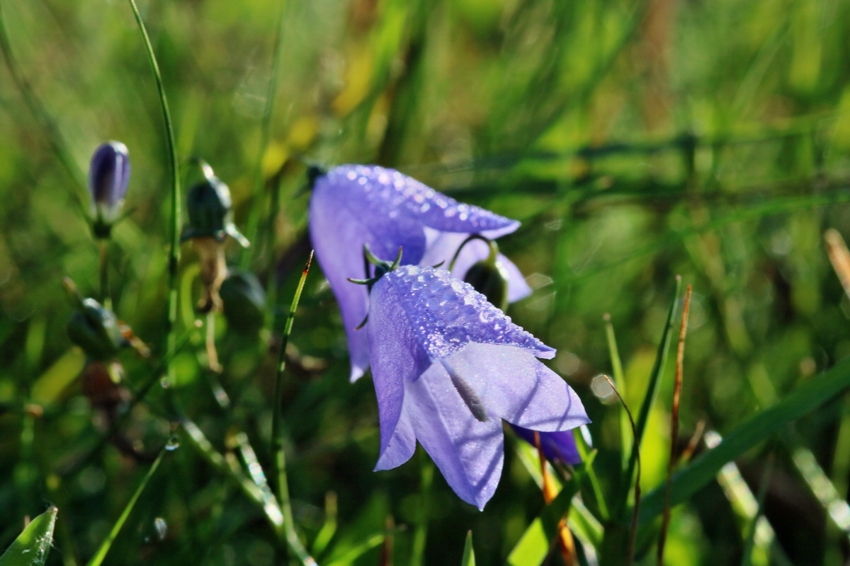 IMG-2015-09-28-00008161p_Bildgr��e �ndern