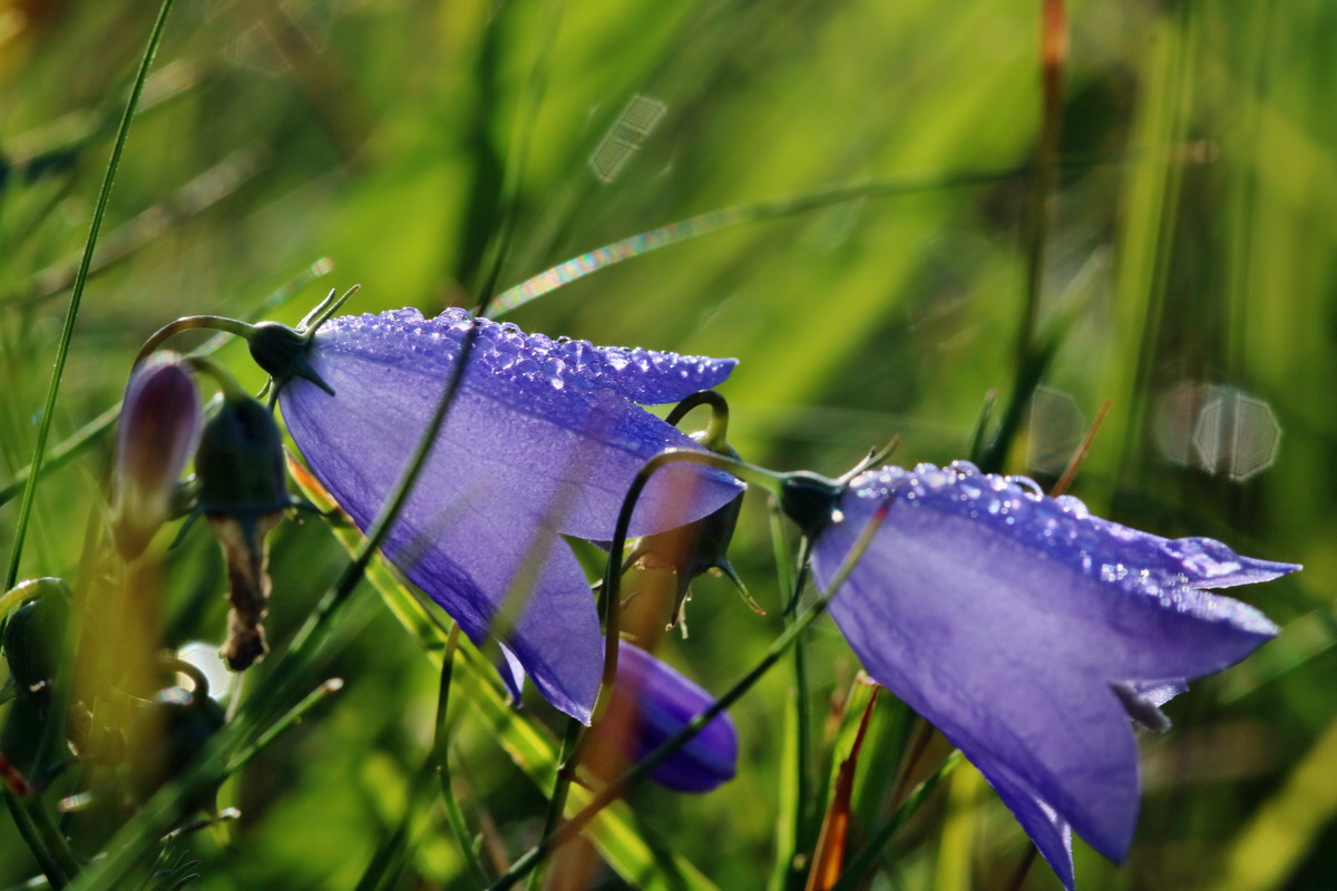 IMG-2015-09-28-00008166p_Bildgr��e �ndern