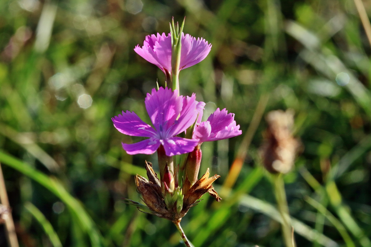 IMG-2015-09-28-00008171p_Bildgr��e �ndern