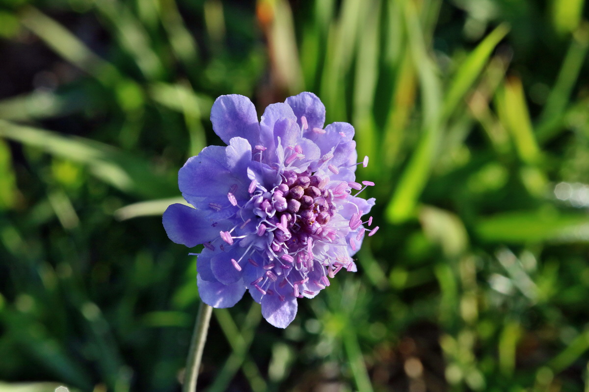 IMG-2015-09-28-00008172p_Bildgr��e �ndern