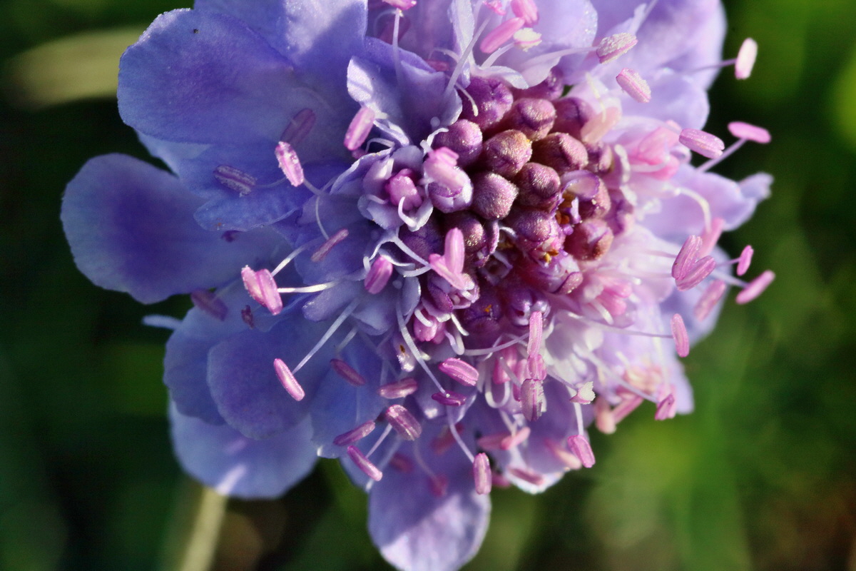 IMG-2015-09-28-00008176p_Bildgr��e �ndern