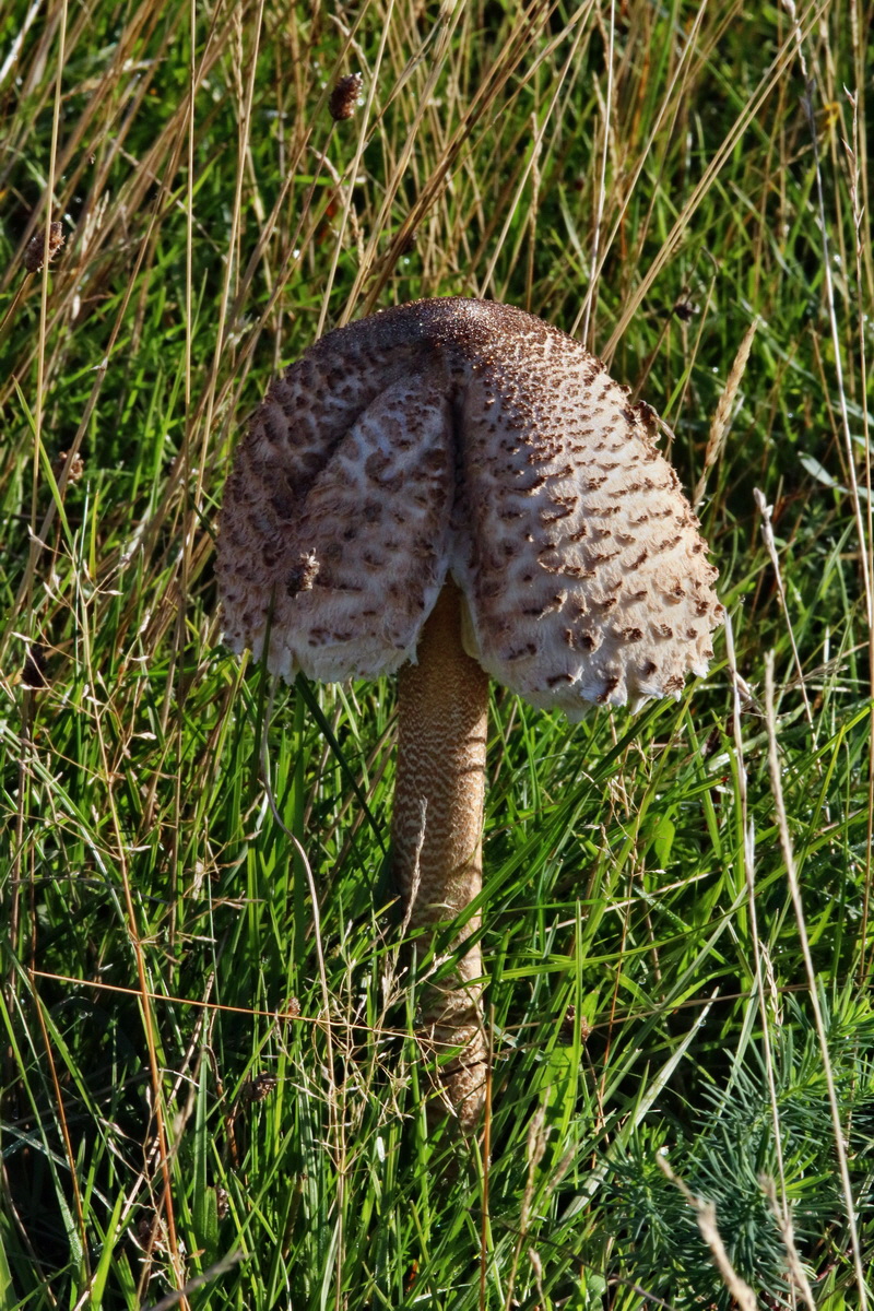 IMG-2015-09-28-00008214p_Bildgr��e �ndern