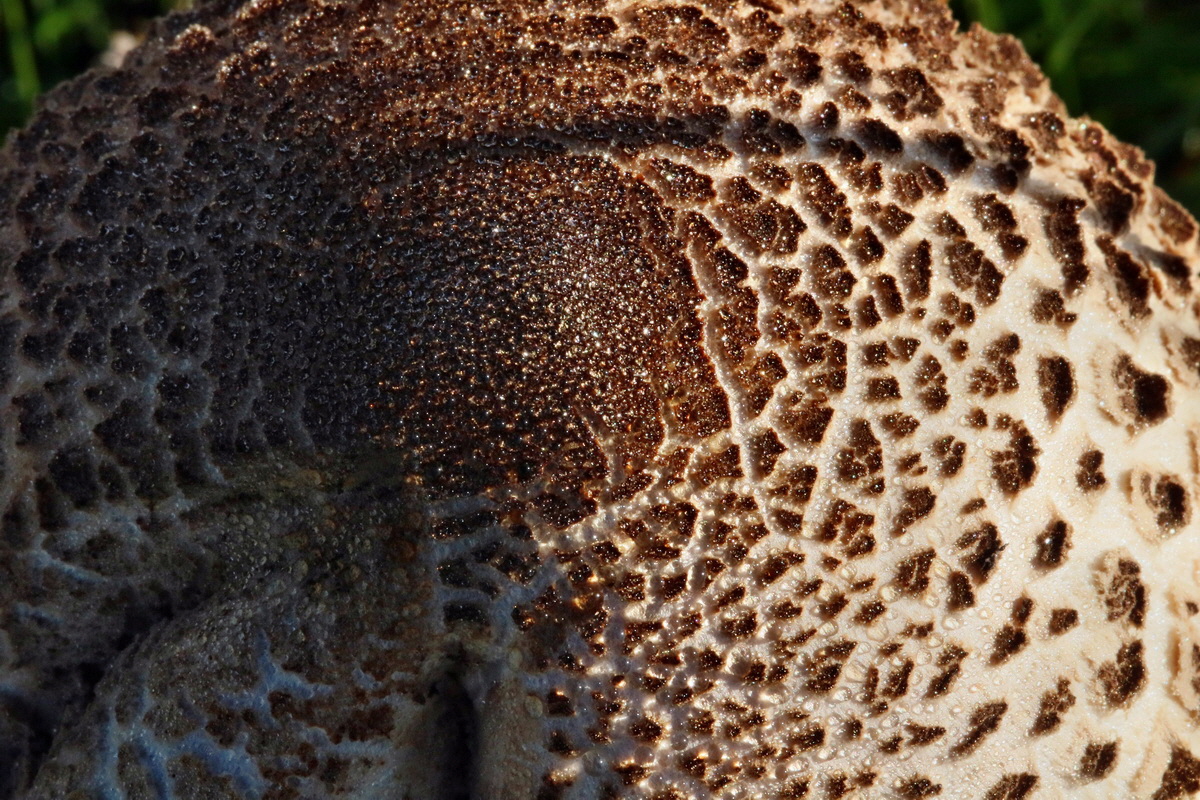 IMG-2015-09-28-00008222p_Bildgr��e �ndern