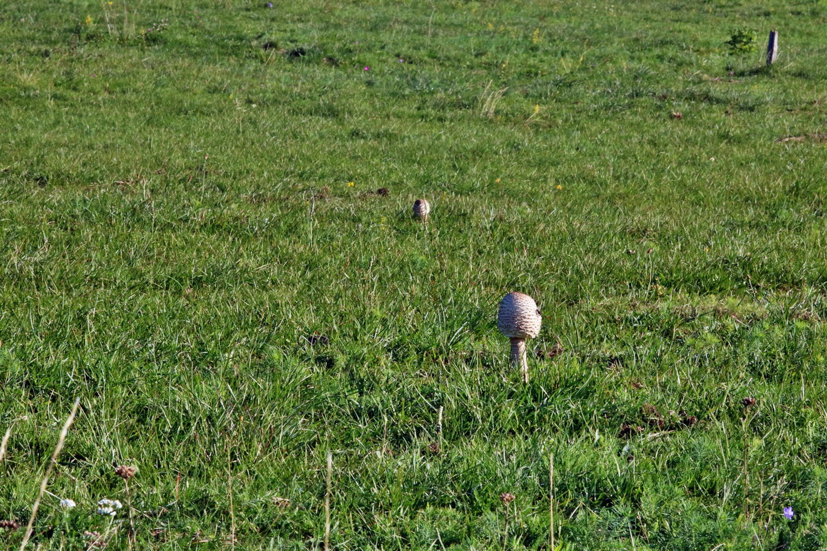 IMG-2015-09-28-00008227p_Bildgr��e �ndern