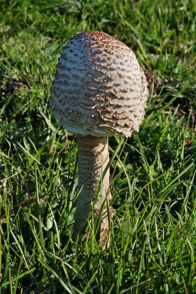 IMG-2015-09-28-00008233p_Bildgr��e �ndern