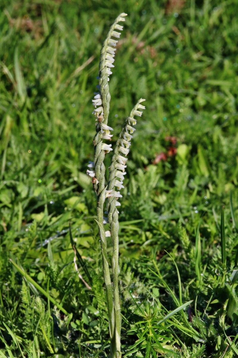 IMG-2015-09-28-00008247p_Bildgr��e �ndern