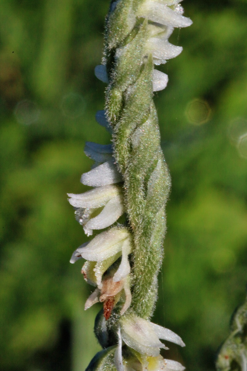 IMG-2015-09-28-00008251p_Bildgr��e �ndern