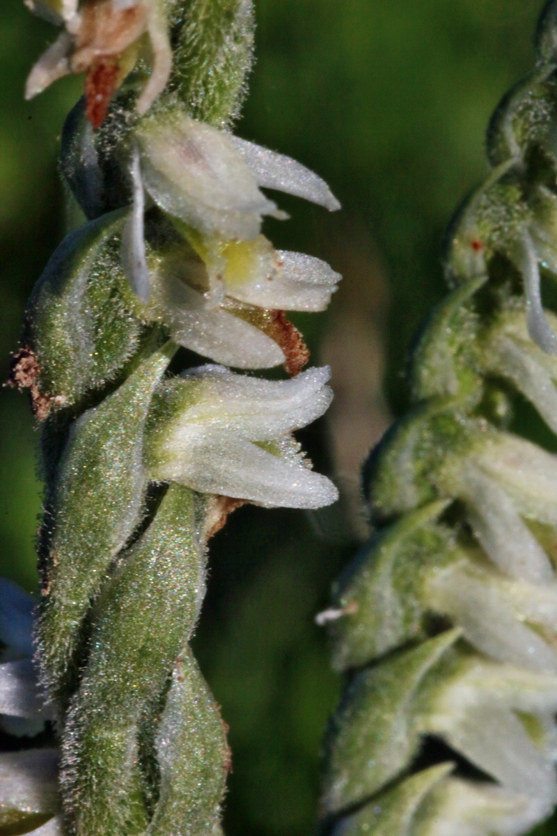 IMG-2015-09-28-00008255p_Bildgr��e �ndern