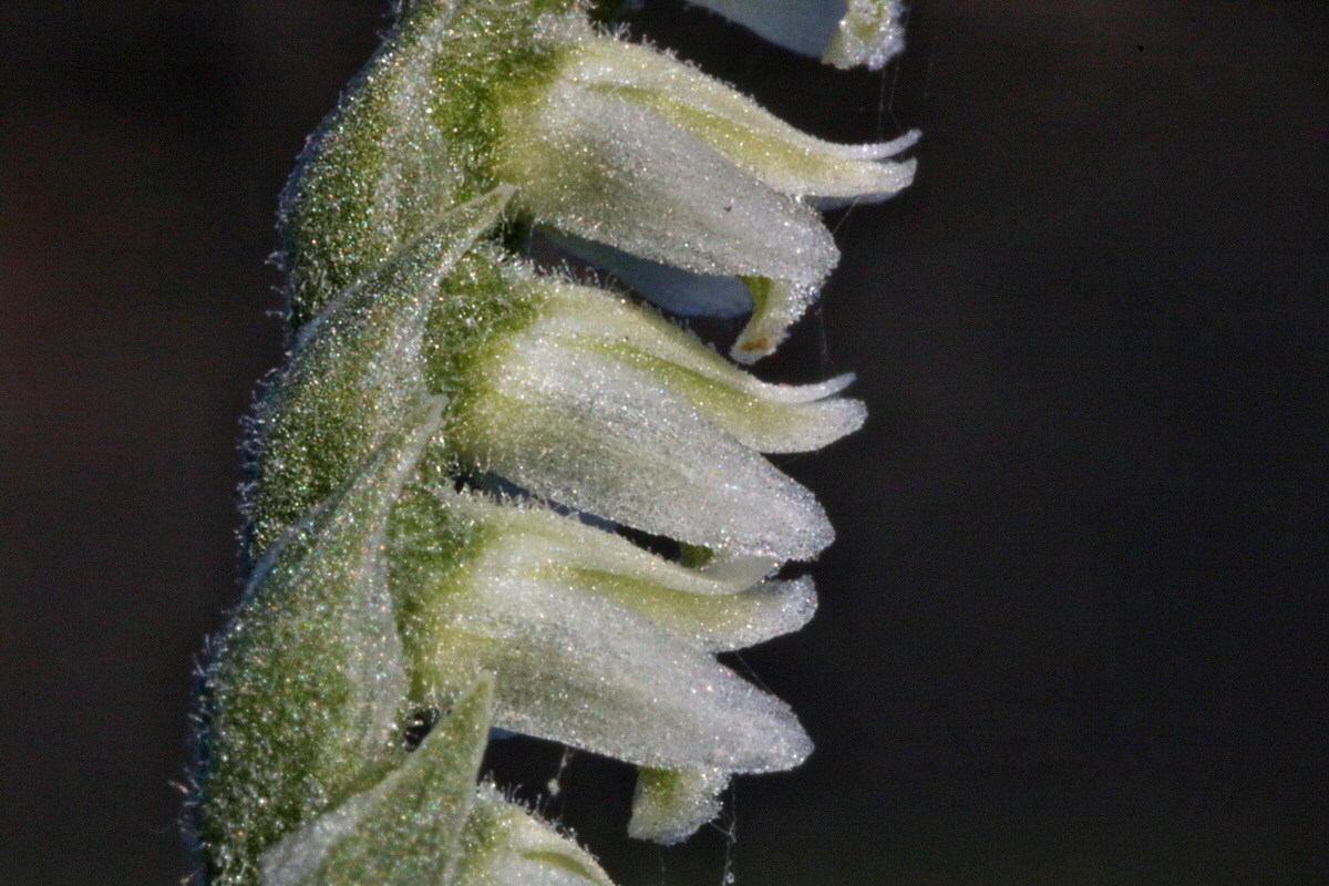 IMG-2015-09-28-00008256p_Bildgr��e �ndern