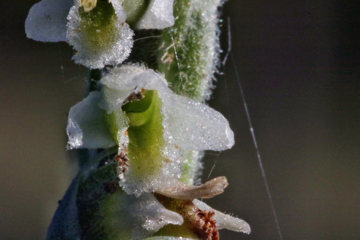 IMG-2015-09-28-00008262p_Bildgr��e �ndern