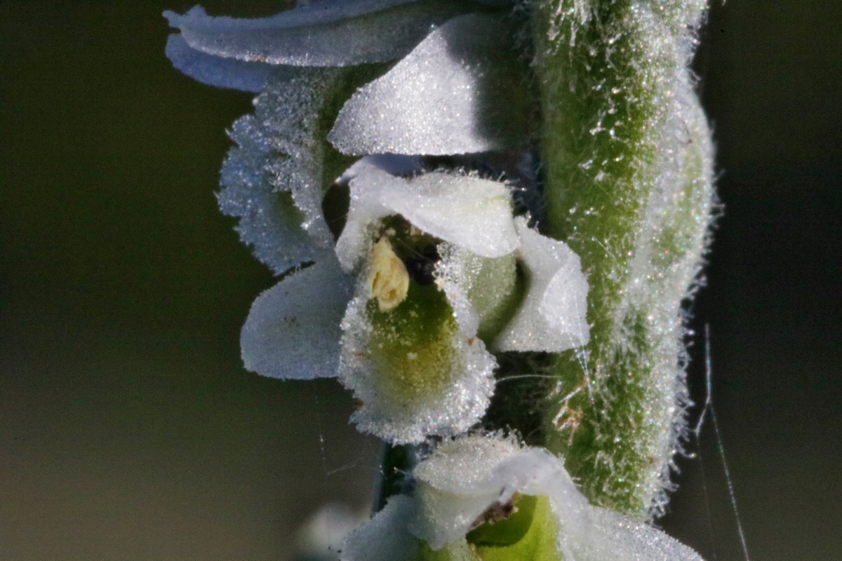 IMG-2015-09-28-00008275p_Bildgr��e �ndern