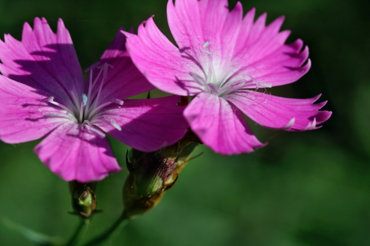 IMG-2015-09-28-00008303p_Bildgr��e �ndern