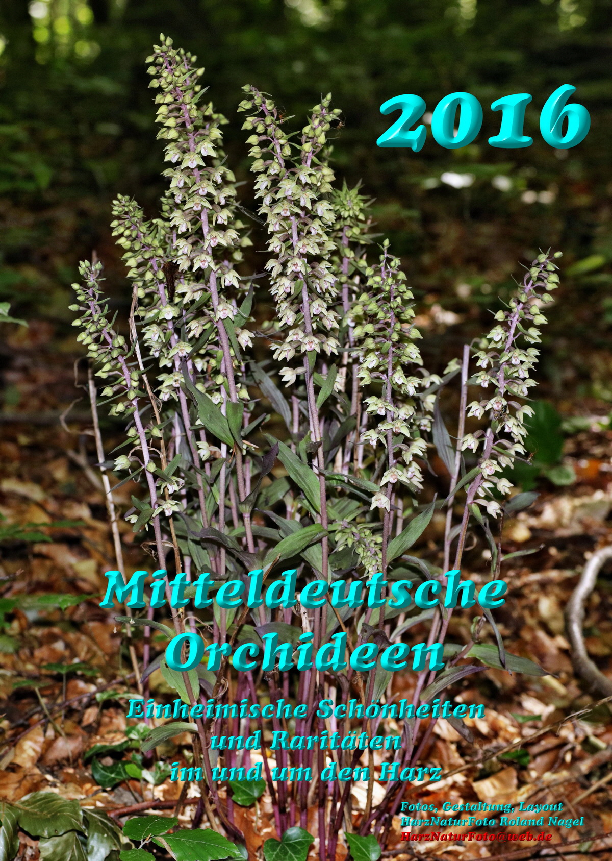 2016-00_Bildgr��e �ndern