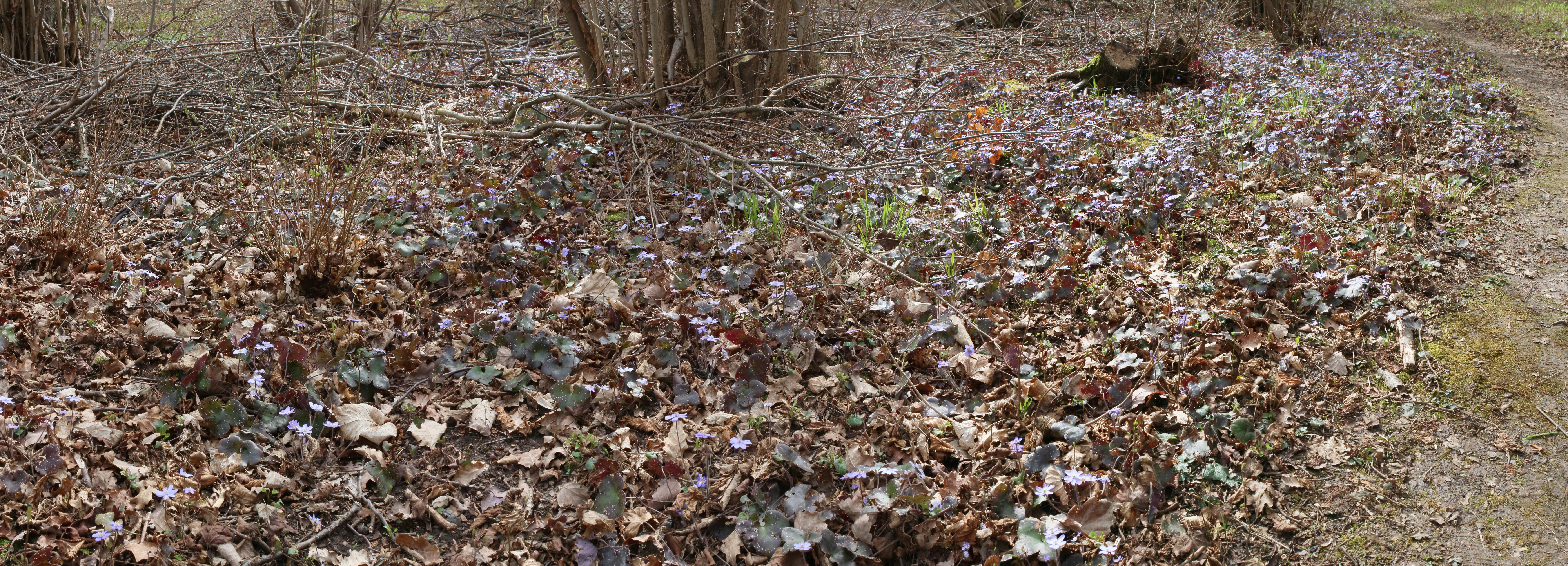 [Group 1]-IMG-2016-04-03-00011411_IMG-2016-04-03-00011416-5 images_Bildgr��e �ndern