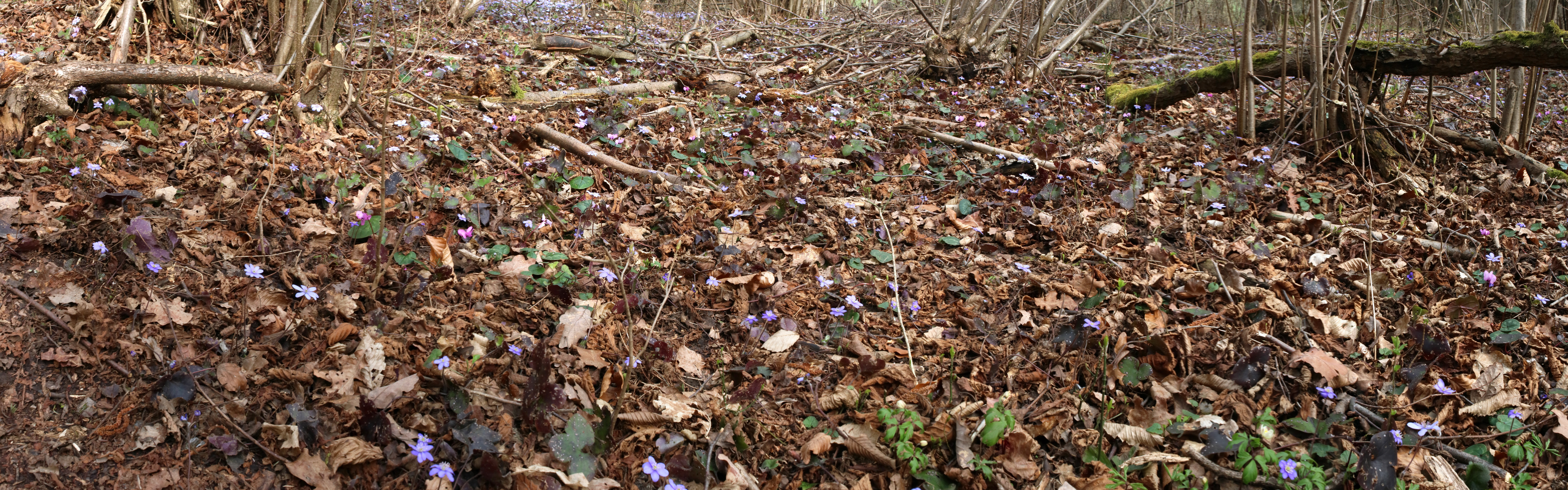 [Group 1]-IMG-2016-04-03-00011425_IMG-2016-04-03-00011432-7 images_Bildgr��e �ndern