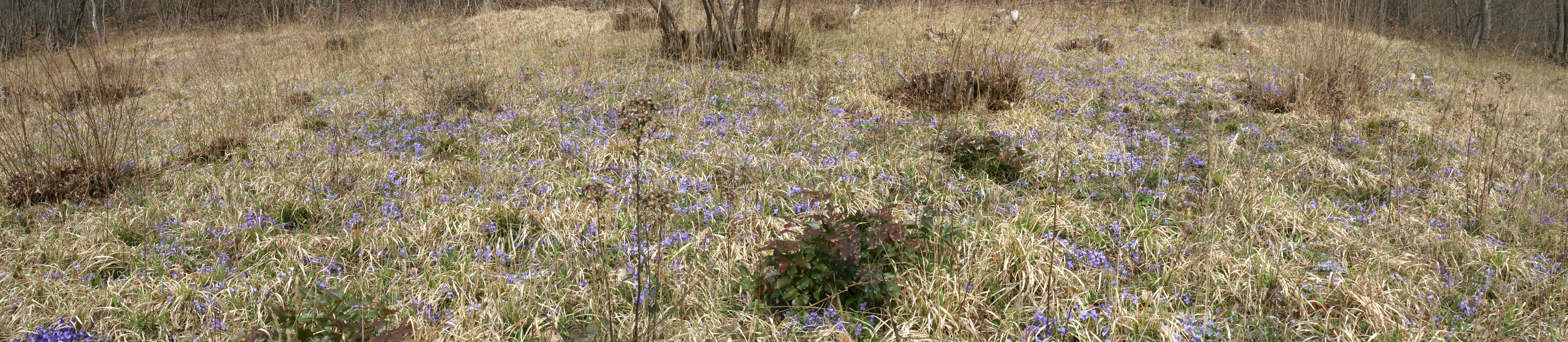 [Group 1]-IMG-2016-04-03-00011539_IMG-2016-04-03-00011550-4 images_Bildgr��e �ndern