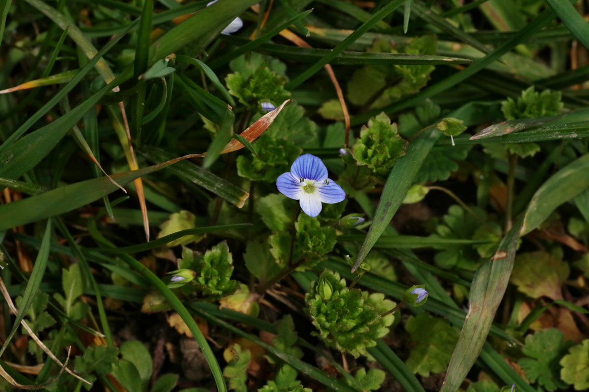 IMG-2016-04-03-00011365p_Bildgr��e �ndern