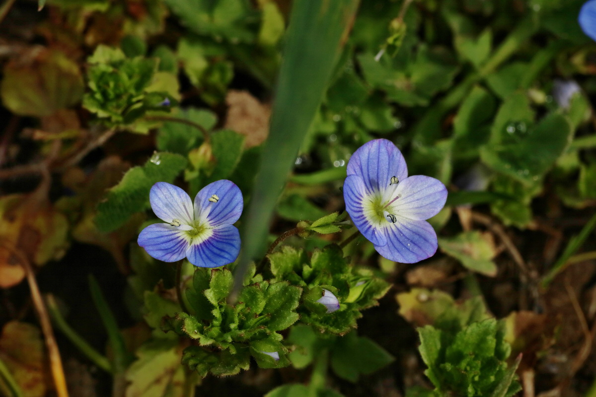 IMG-2016-04-03-00011367p_Bildgr��e �ndern