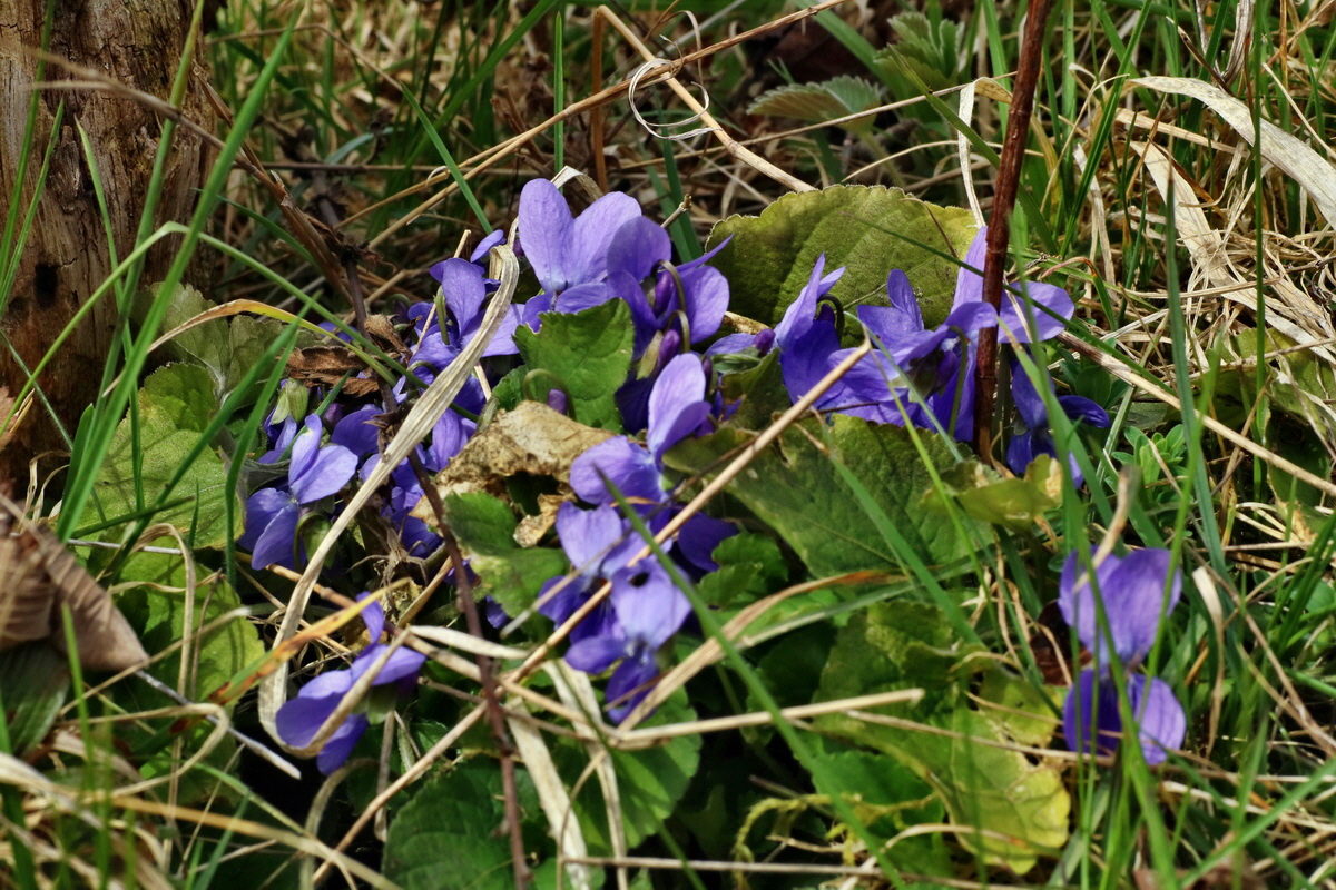 IMG-2016-04-03-00011374p_Bildgr��e �ndern