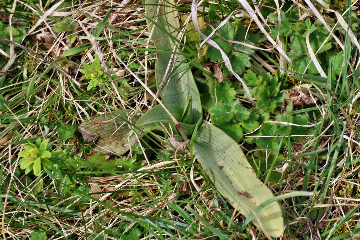 IMG-2016-04-03-00011377p_Bildgr��e �ndern