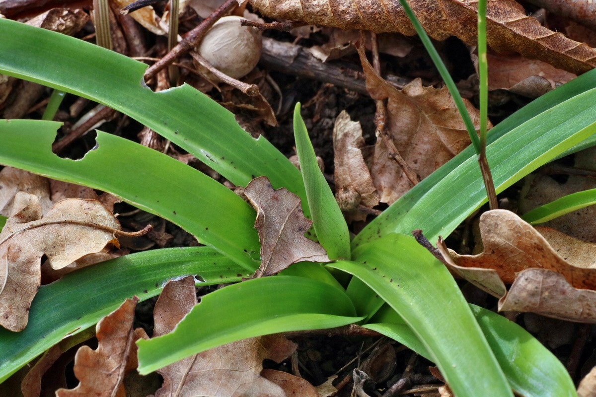 IMG-2016-04-03-00011382p_Bildgr��e �ndern