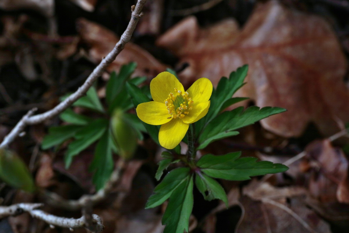 IMG-2016-04-03-00011386p_Bildgr��e �ndern