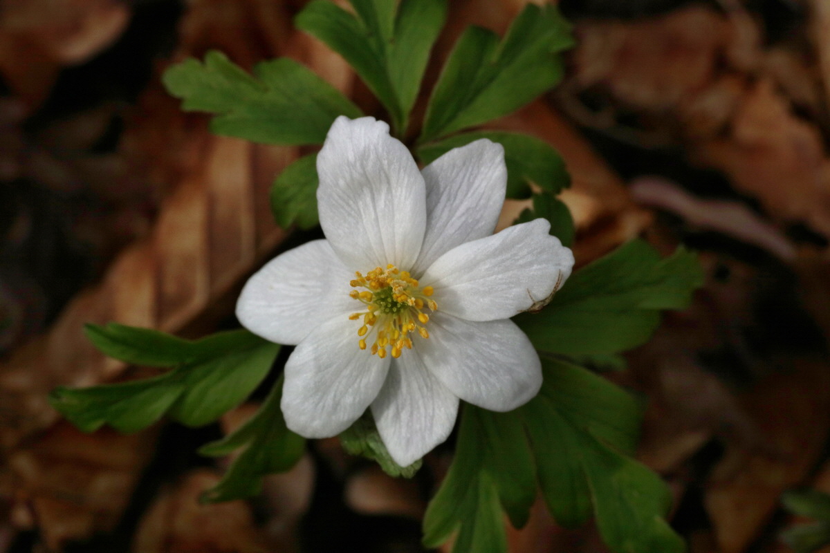 IMG-2016-04-03-00011390p_Bildgr��e �ndern