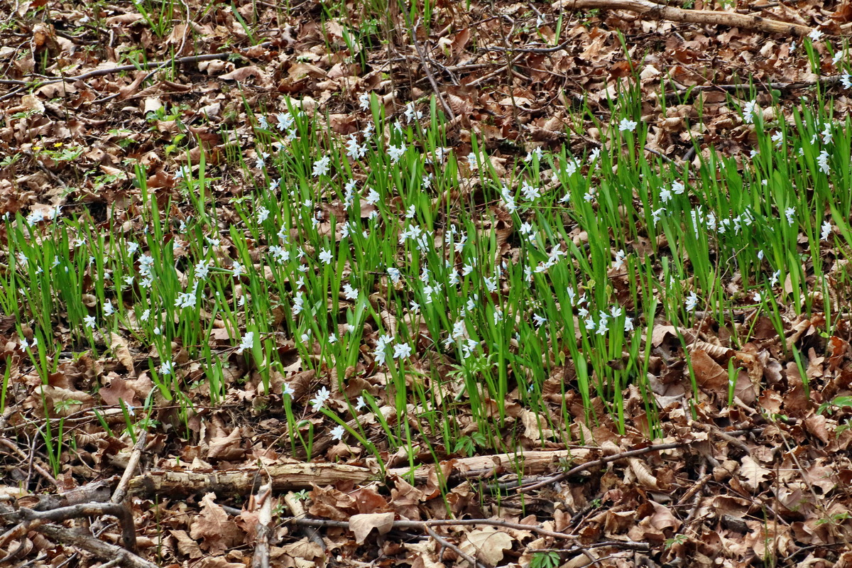 IMG-2016-04-03-00011393p_Bildgr��e �ndern