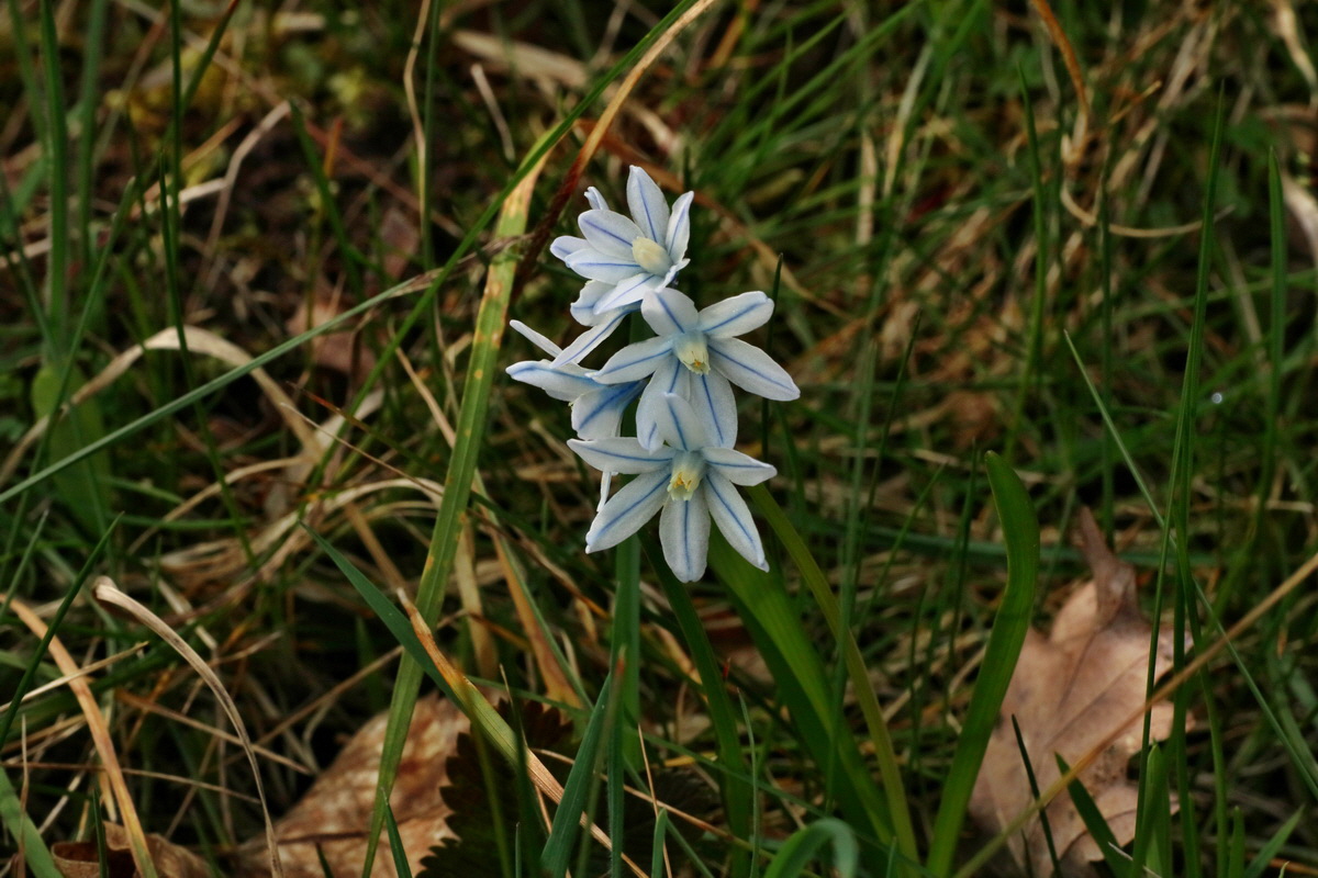 IMG-2016-04-03-00011394p_Bildgr��e �ndern