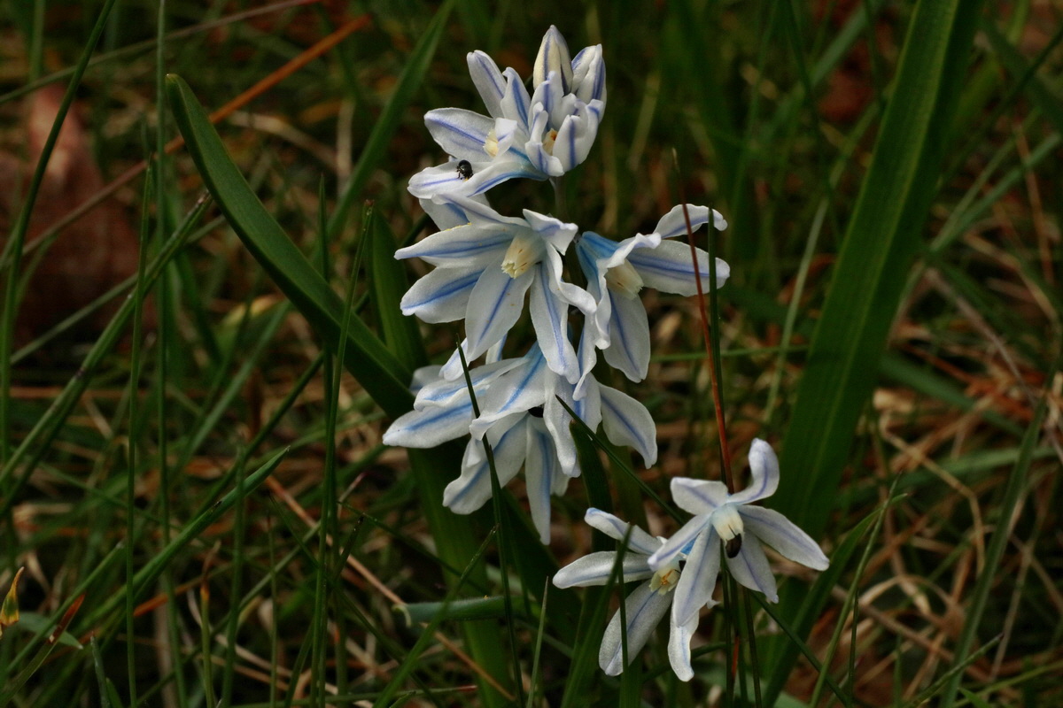 IMG-2016-04-03-00011396p_Bildgr��e �ndern