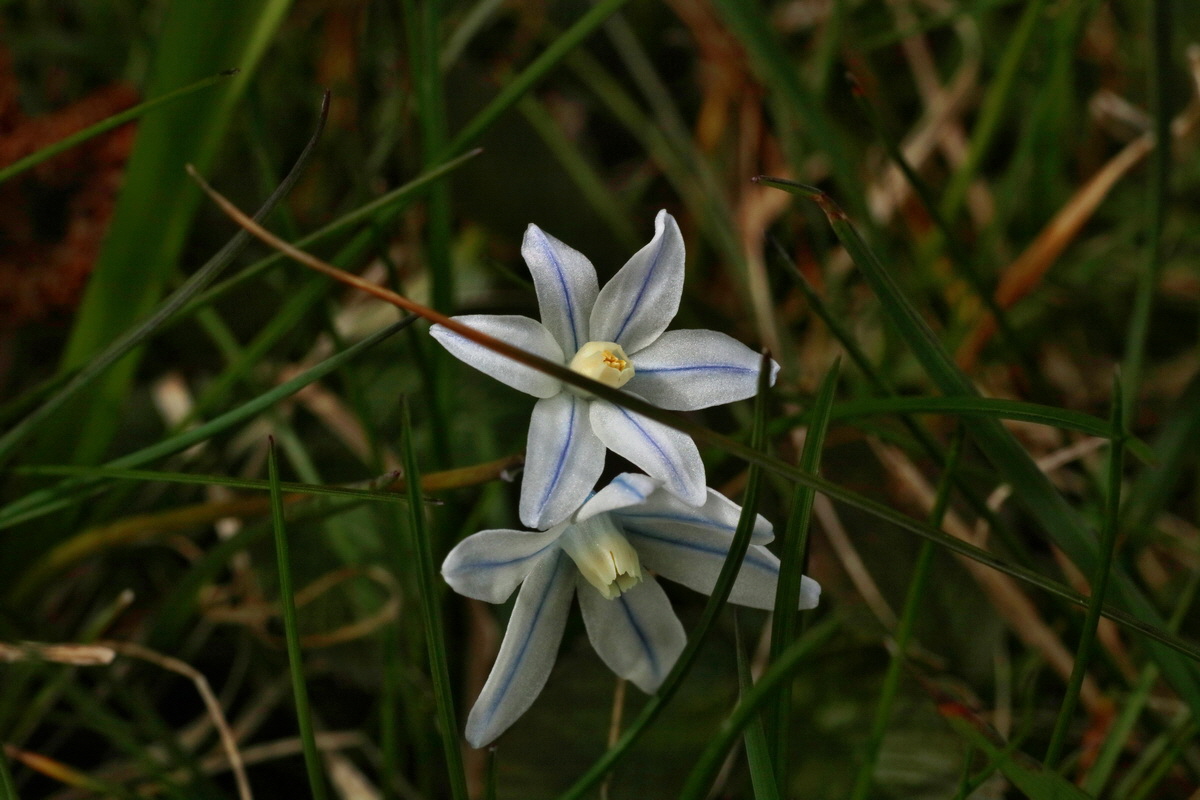 IMG-2016-04-03-00011400p_Bildgr��e �ndern