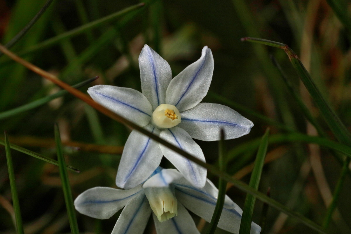 IMG-2016-04-03-00011403p_Bildgr��e �ndern