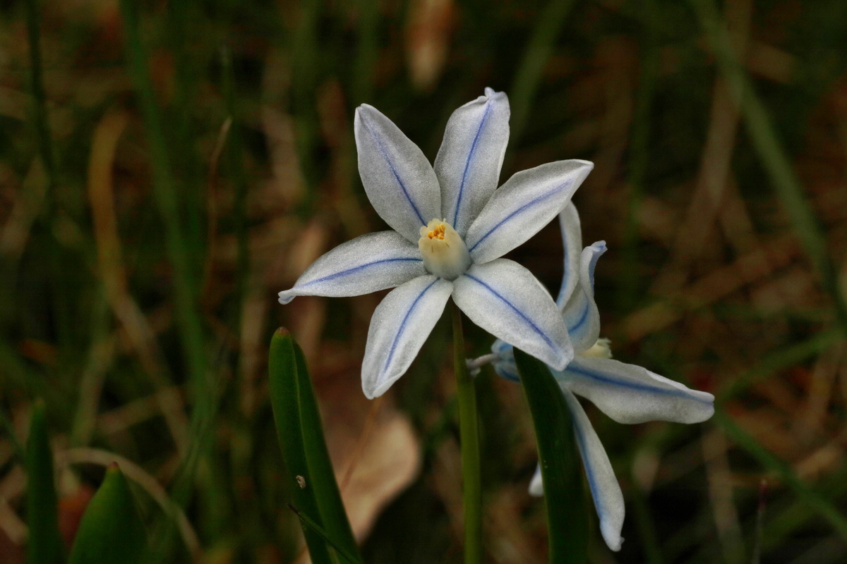 IMG-2016-04-03-00011408p_Bildgr��e �ndern