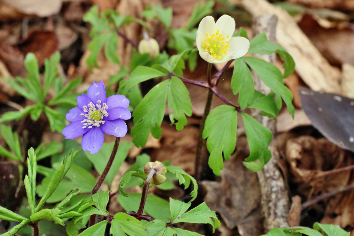 IMG-2016-04-03-00011436p_Bildgr��e �ndern