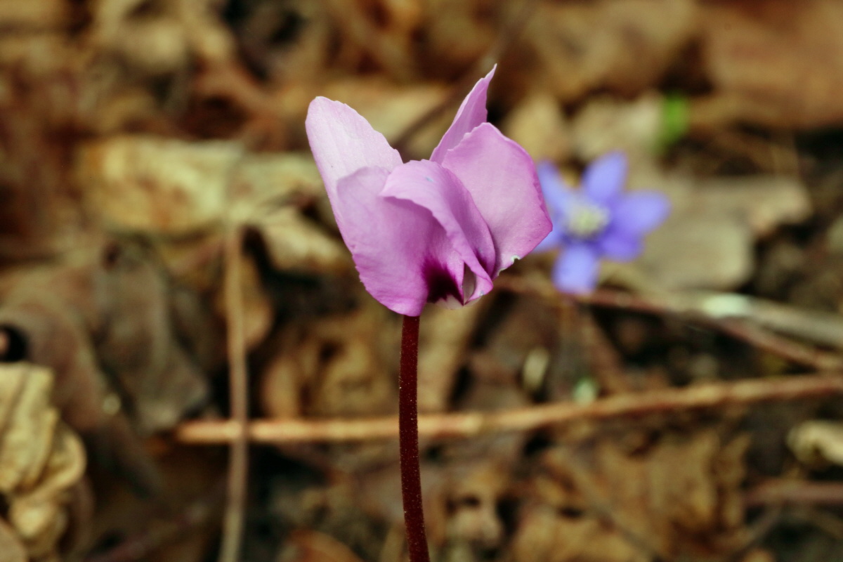 IMG-2016-04-03-00011440p_Bildgr��e �ndern