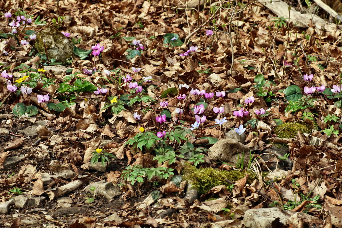 IMG-2016-04-03-00011447p_Bildgr��e �ndern