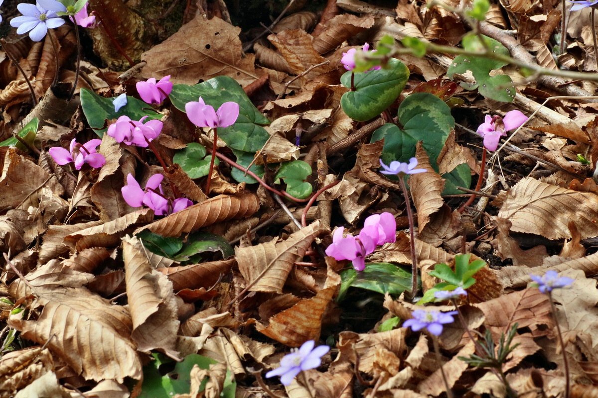 IMG-2016-04-03-00011458p_Bildgr��e �ndern