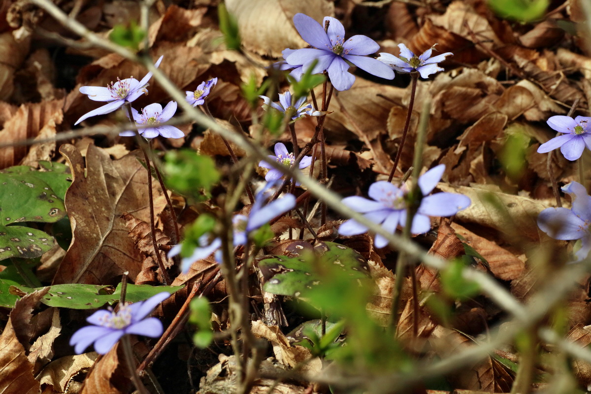 IMG-2016-04-03-00011459p_Bildgr��e �ndern