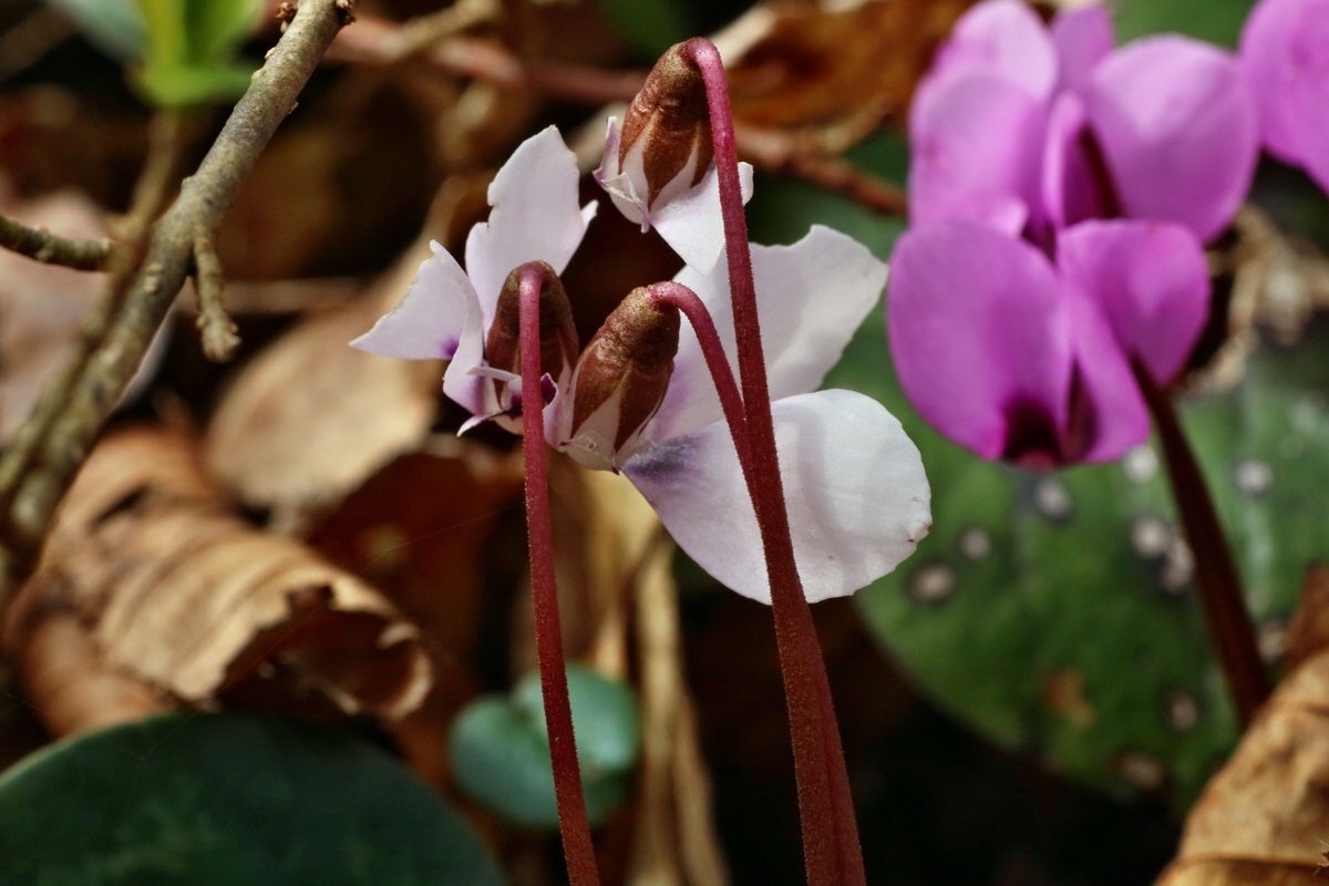 IMG-2016-04-03-00011464p_Bildgr��e �ndern