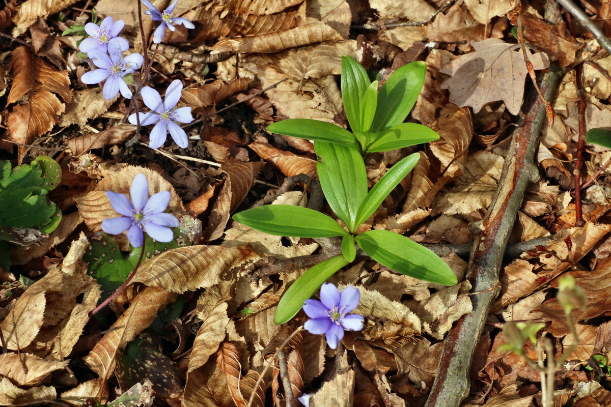 IMG-2016-04-03-00011471p_Bildgr��e �ndern