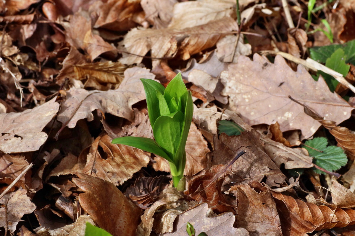 IMG-2016-04-03-00011473p_Bildgr��e �ndern