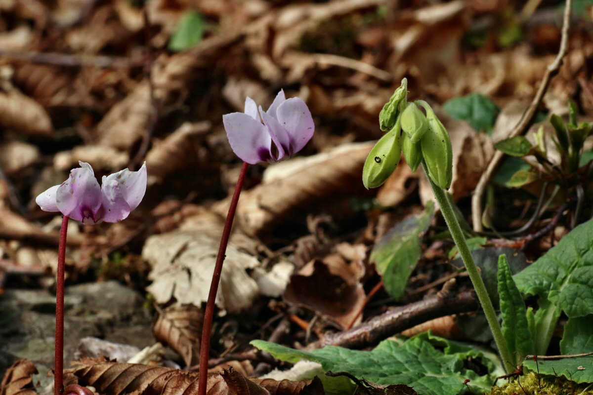 IMG-2016-04-03-00011477p_Bildgr��e �ndern