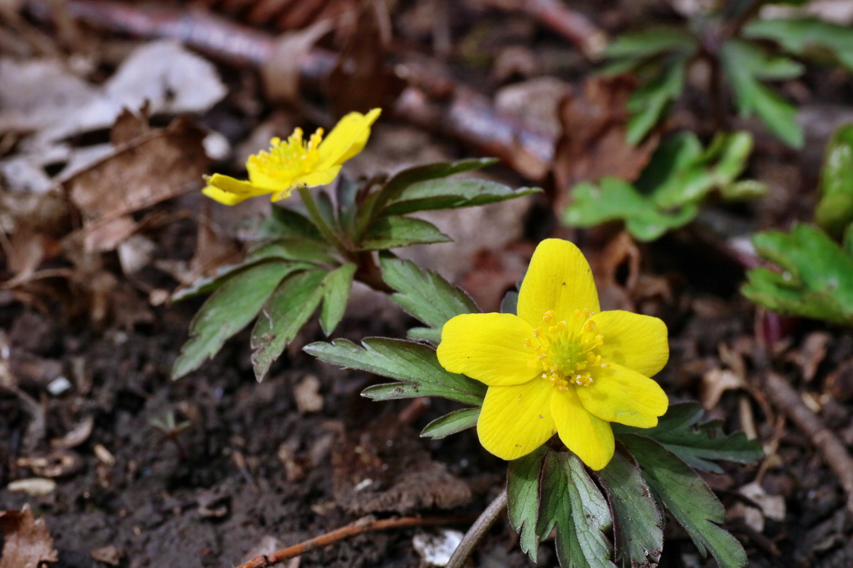 IMG-2016-04-03-00011479p_Bildgr��e �ndern