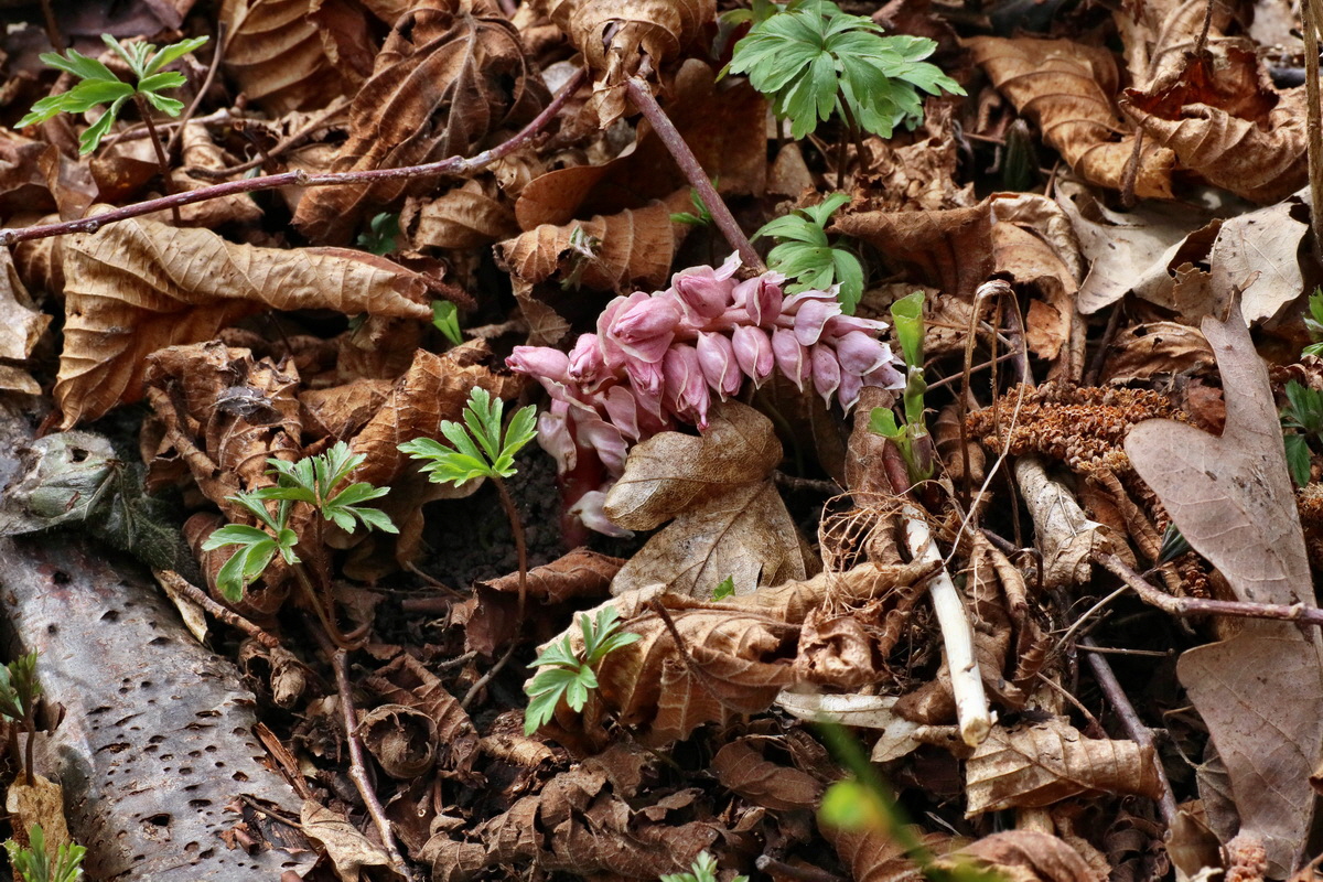 IMG-2016-04-03-00011486p_Bildgr��e �ndern