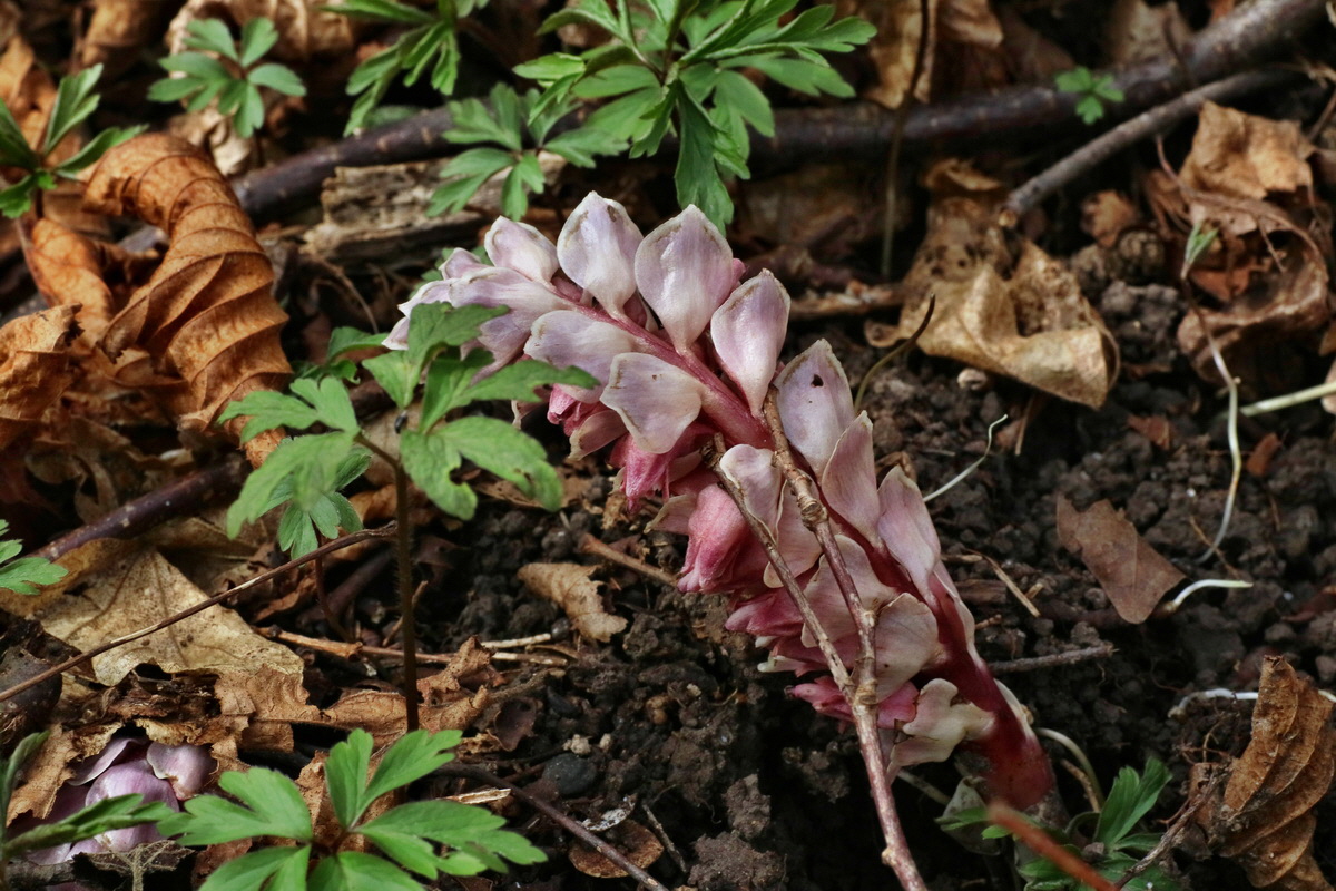 IMG-2016-04-03-00011489p_Bildgr��e �ndern